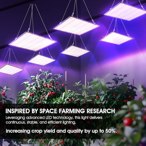 2 Pack LED Grow Light Panel 200W Lamp for Indoor Plants, Sun Like with White Blue Red UV IR LEDs for 4x4ft Coverage Grow Tent Greenhouse Veg and Bloom Seedlings Hydroponics - color: Sunlight