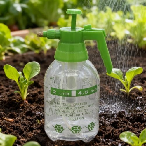 2L Garden Sprayer,Pressure Spray Bottle,Hand Pump Sprayer (2L Green) - color: 2L Green