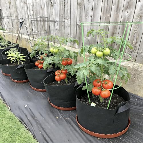 ORIMERC 4 Pack Grow Bags 5 Gallon for Growing Strawberry Tomato Self Watering Planter Fabric Plant Grow Bag Come with Plastic Plant Saucer 300G Thickened Garden Pots to Grow Vegetables, Fruit, Flower