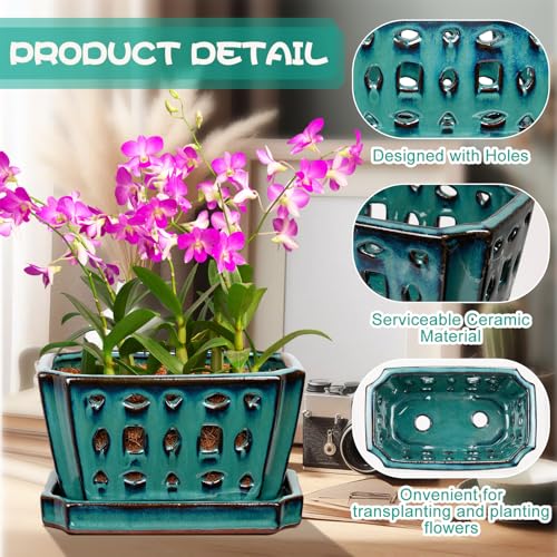 Teenyyou 7 Inch Ceramic Orchid Pot with Holes and Saucer Repotting,Green - color: Green