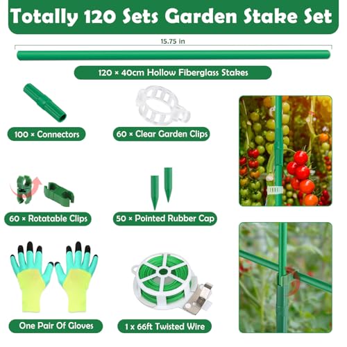 Cludoo 393PCS Garden Stakes Set with 120 Sets Fiberglass Plant Stakes Sticks Supports and Accessories, DIY 4ft 5ft 6ft 7ft Tomato Stakes for Tomato,Vegetables, Pepper, Indoor Outdoor Spring Plants - size: 120 sets