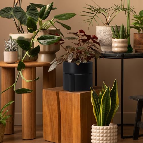 Phoenix Vine 6.5 Inch Self-Watering Planter Pot with Terracotta Insert, Deep Water Reservoir, and Ceramic-Alike BPA-Free Plastic Planter Pot for Plant, Modern Planter for Houseplants, Black, 53-A-S-2 - color: Black, size: 6.5 Inch