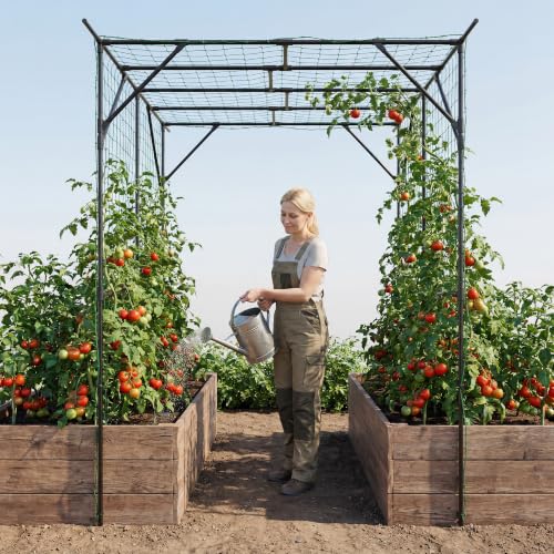 Garvee Metal Garden Arch Trellis for Climbing Plants Outdoor - color: Black-79"L*59"W*78"H