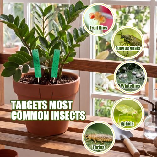36 Pcs Green Sticky Traps for Plant Gnats, Fungus Gnat Trap (4" x 1") - color: Green