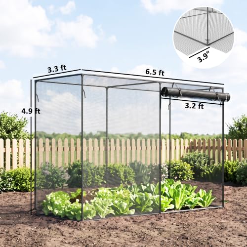 Outsunny 6' x 3' x 5' Crop Cage, Plant Protection Tent, Black