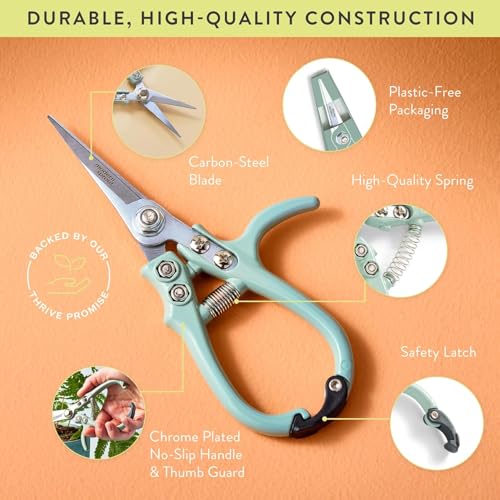 Modern Sprout Pruning Shears - Garden Snips - Herb Scissors - Multi 4-Pack - color: Multicolor - 4pcs