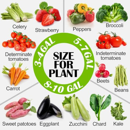 3 Gallon Grow Bags 6 Pack,Premium 3 Gallon Fabric pots for Healthy Plant Growth - Durable and Reusable Garden Bags to Grow Vegetables,Fruits,and Flowers - size: 3 Gal*6
