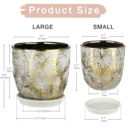 Oairse 6 +5 inch Ceramic Planter Pots Set of 2 Small Round Flower Pots with Drainage Hole and Ceramic Tray for Succulents Cactus Indoor Outdoor Garden Home Windowsill - color: Gold