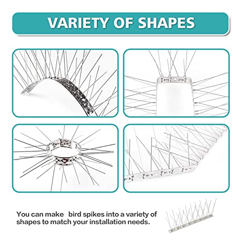 KKY Bird Spikes Stainless Steel Base, Metal Bird Repellent Nail Fence Kit, Can Be Used to Stop Pigeons and Other Small Birds, Covering 43.2 Feet 40 Packs. - size: 43.2 Feet