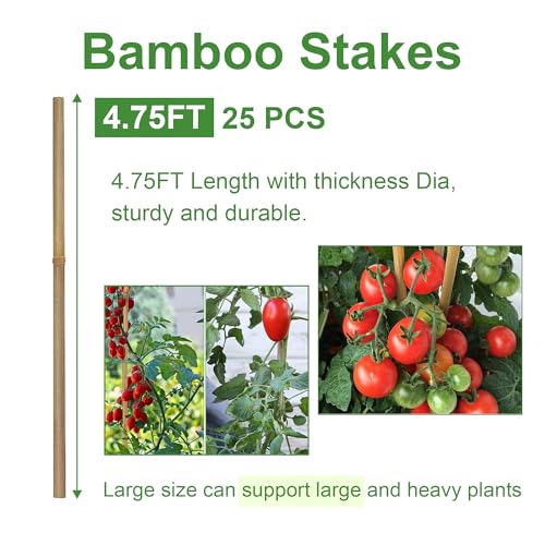 Bamboo Garden Stakes 57 Inch 25pcs, 1/2" Dia Plant Stakes 5ft Approx for Indoor Outdoor Plants, Support Tomato, Cucumber, Beans and More Climbing Plants - size: 57inch, pack of 25