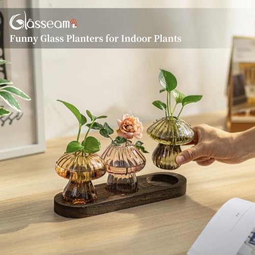 Glasseam Mushroom Plant Propagation Station: 3 Pcs Glass Terrarium Jar - color: Fall-colored, size: 3Pcs