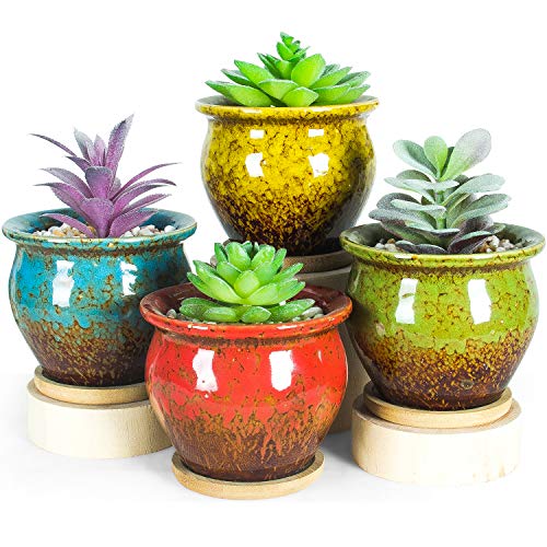 Succulent Pots, 4.5 Inch Small Plant Pots with Drainage Tray - color: Colorful