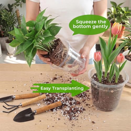 8 Pack Clear Nursery Pots with Drainage Holes, 5/6/6.7/7.5 Inch