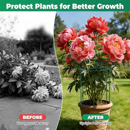 QwayHome 3Pack Peony Cages and Supports 33''H x 13''D Grow Through Large Plant Support, Adjustable High, Heavy Duty, Rust-Resistant, Round, Flower Support Cage Ring for Rose Tomato Hydrangea - size: 3Pack- 13"D x 33"H