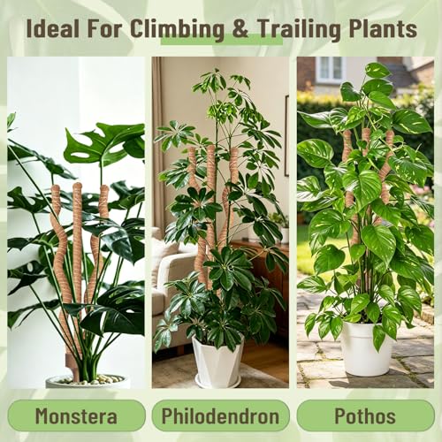 3-in-1 Moss Pole, Bendable 30IN Monstera Plant Support for Indoor-1 Pack