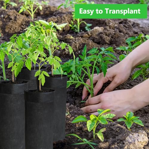 50PCS Deep Nursery Grow Bags, Black Plant Grow Bag for Starting Rooted Plants Vegetable, Flower, Seedling Tree Seedling Pots, 13.5" H Before Loading Soil - size: 13.5''H