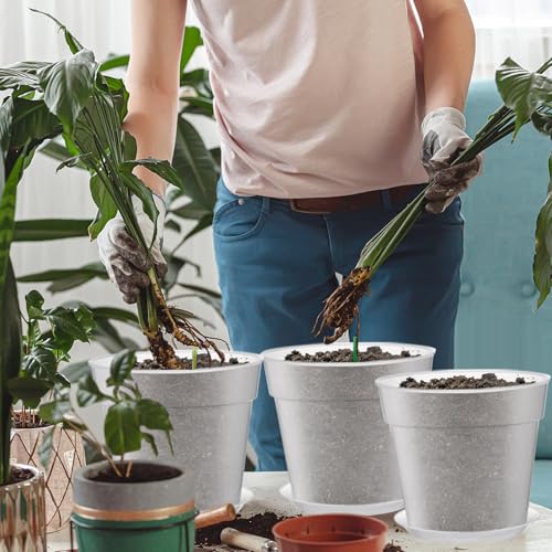 Baderke 3 Pack Clear Nursery Pot,8 Inches - size: 8 Inches