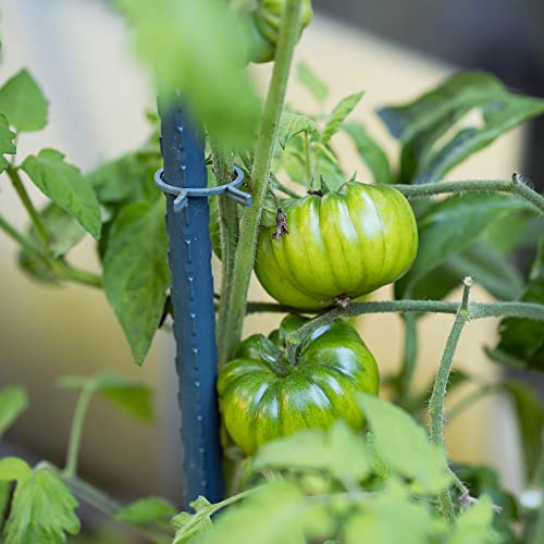 Garden Plant Stakes, 36 Inch 3Ft Steel Tomato Stakes, 25 Pack - size: 36 Inch