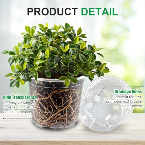 RooTrimmer 100 Pack 4 Inch Clear Plant pots with Drainage Holes, Transparent Nursery Seeding Pots, Flexile Seeds Starter Pots, Seeds Germination (4Inch,100P,Clear) - size: 4 Inch 100P