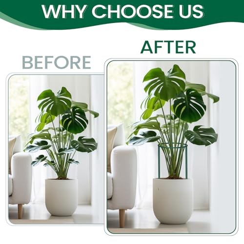 DoubleFill 24 Pcs Peony Cages and Supports Snake Plant Support Stakes