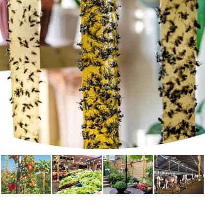 Outdoor Fly Trap Indoor Hanging 60pk, Sticky Fly Strips Tape Paper for Home - size: 60 pack