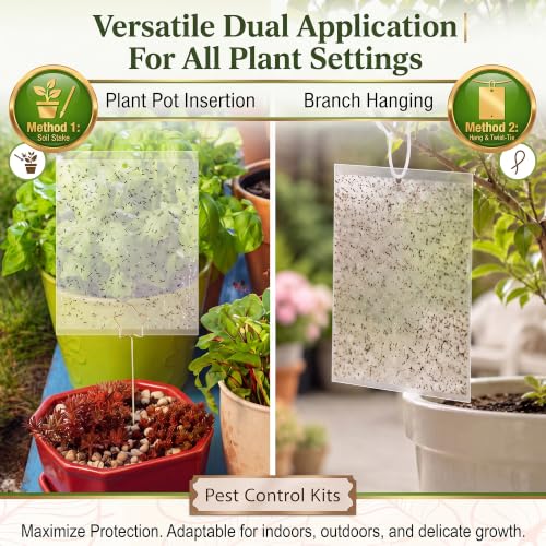 100 Gnat Sticky Traps for Plants, Transparent Double Sided Indoor Outdoor