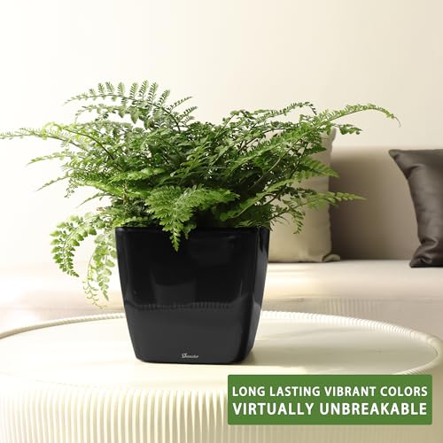 Dexceder 9x8 Self Watering Planter (Black High Gloss) - color: Black, size: 9x8