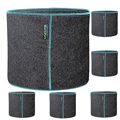 HORTIPOTS Fabric Pots 2 Gallon Non So Floppy Air Pruning Non Woven Black Gray Grow Bags (Pack of 6) - size: 2GAL-Pack of 6