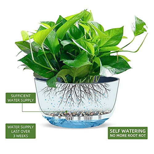 Dexceder 11.2 Inch Self Watering Hanging Planter (2 Pack, Deep Blue) - color: Deep Blue, size: 11.2 inch