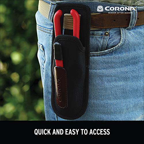 Corona AC 4510 Scabbard
