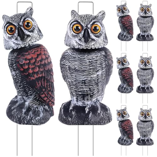 8 Pack Owl Decoys to Scare Birds Away, Fake Owls Scarecrow Yard Lawn Sign with Stakes Pest Repellent Bird Deterrents Waterproof Plastic Owls Decorations for Gardens Patio Outdoor(2 Pattern) - style: 2 Pattern