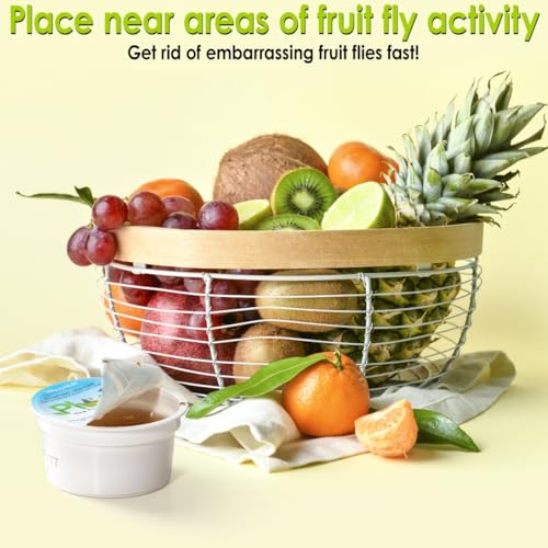 Plunk Fruit Fly Trap – 3-Pack – All Natural, Non-Toxic Indoor Solution for Home Kitchen – Safe, Recyclable Material, Easy to Use & Effective
