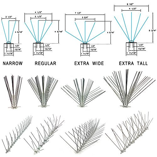 Bird-X Steel Spikes for Pigeons Sparrows Starlings 100-Foot Range 6-Inch - size: 100 feet