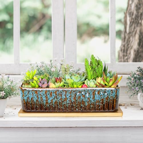 Succulent Pots, 12'' Long Rectangle Planters with Tray, Windowsill Planter - color: Blue