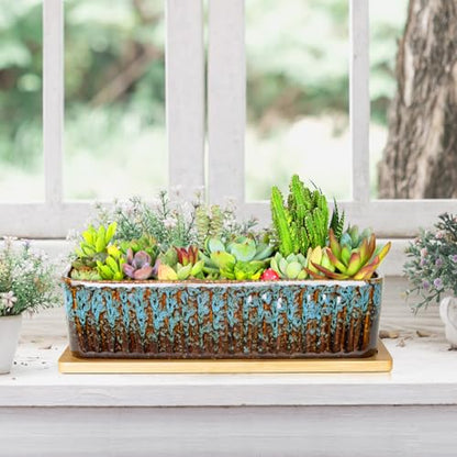 Succulent Pots, 12'' Long Rectangle Planters with Tray, Windowsill Planter - color: Blue