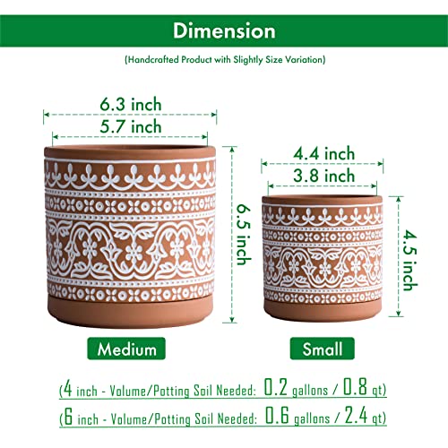 D'vine Dev 2-Pack Terracotta Pots, 4/6 in, Terra/White, 31-958-F-1 - color: Terracotta/White