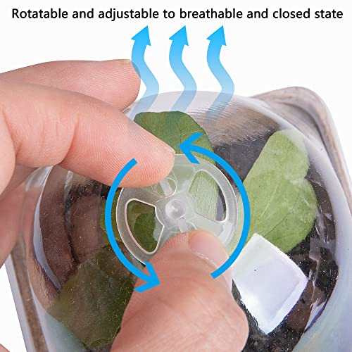 PURPLE STAR 1N 20 Pcs Biodegradable Nursery Pots with Humidity Dome- 2.3 Inch Square Seeding Starter Pot for Planting- Peat Pots for Seedlings Garden Vegetable Flower Germination - color: S-20pcs