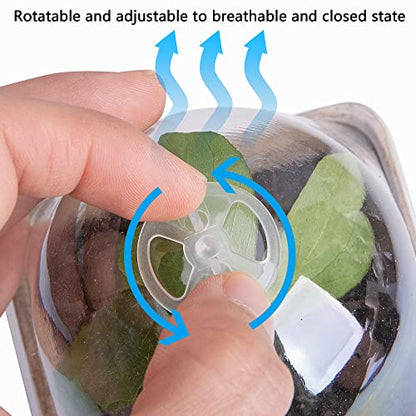 PURPLE STAR 1N 20 Pcs Biodegradable Nursery Pots with Humidity Dome- 2.3 Inch Square Seeding Starter Pot for Planting- Peat Pots for Seedlings Garden Vegetable Flower Germination - color: S-20pcs
