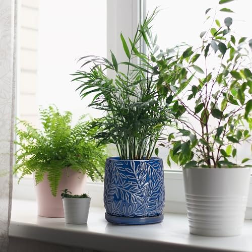 D'vine Dev Embossed Leaves Ceramic Planter, 6 in, Midnight Blue, 27-A-X-3 - color: Midnight Blue, size: 6 Inch