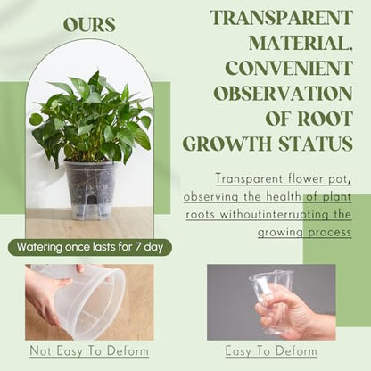 Wonderjune Self Watering Planter, 8.27'', Clear, 6 Pcs - color: Clear, size: 8.27''