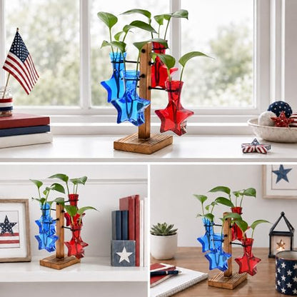 Nacome Plant Terrarium Propagation Station: Red Blue Vase with Wooden Stand - color: Red Blue