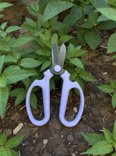 Garden Pruning Shears Scissors Carbon Steel Blades 6.7 In, Snapdragon - Lavender - style: 6.7 inch Lavender