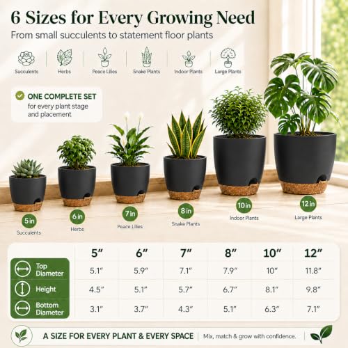 6 Size Self Watering Pots for Indoor Plants, Flower Plant Pot, Black - color: Black