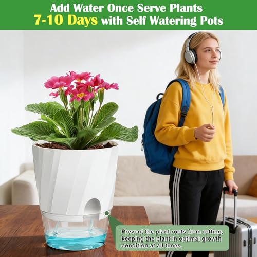KIMCHOMERSE Self Watering Plant Pots, 6 Inch Indoor Plant Pots 6 Pack - color: White, size: 6 Inch Set of 6