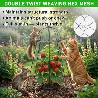 Garden Cloches for Plants 3 Pack - Chicken Wire Outdoor Plant Protectors from Animals - Heavy-Duty Metal Cage with Detachable Lid - Rustproof Covers - 12"D × 17"H - Blocks Rabbits, Squirrels & Birds - size: 3 Pack