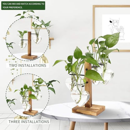 Plant Terrarium Propagation Stations with Wooden Stand - color: Transparent