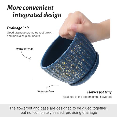 Ceramic Plant Pots with Saucers, Round Blue Flower Pots for Indoor Plant - color: Blue With Dot-standard Size