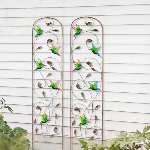 2 Pack Metal Garden Trellis for Climbing Plants - style: Hummingbird