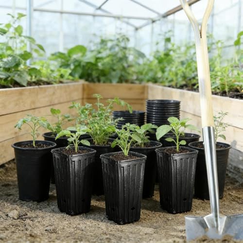 5Pcs Square Tree Pot with Drainage Holes Starting Pots for Indoor Outdoor Plastic Deep Nursery Treepots Seedling Flower Plant Contain ﻿ (5Pcs,9x29cm) - color: 5pcs,9x29cm
