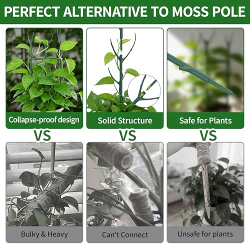 30Pcs Stackable Plant Support Stakes, Plant Stakes for Monstera Plant Stem Supports for Indoor Plants, Includes Garden Wire, Ties & Cutter for Pothos, Money Plant, Vines, Outdoors